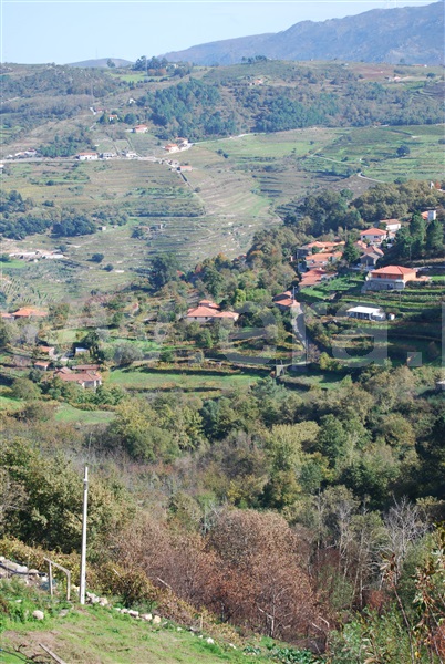 Quinta  Resende, Cárquere - 1455398 - 2