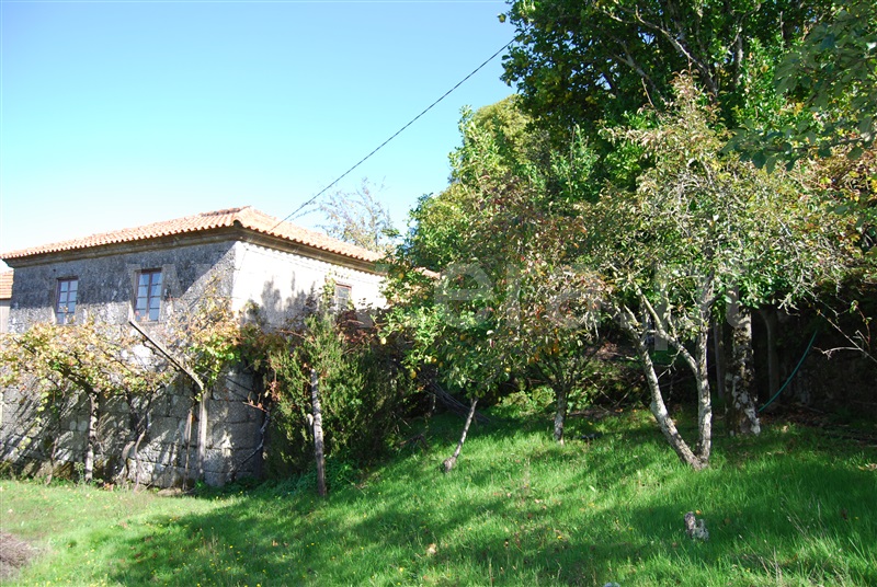Quinta  Resende, Cárquere - 1455398 - 5