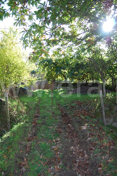 Quinta  Resende, Cárquere - 1455398 - 11