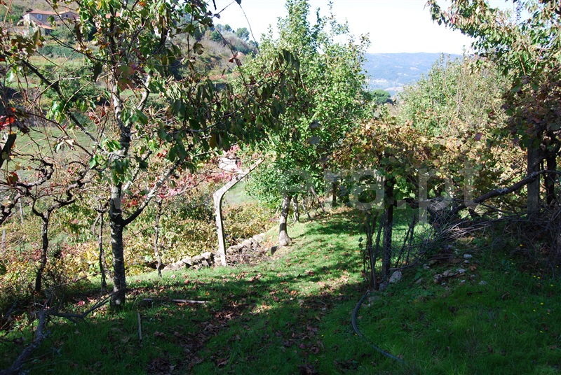 Quinta  Resende, Cárquere - 1455398 - 12