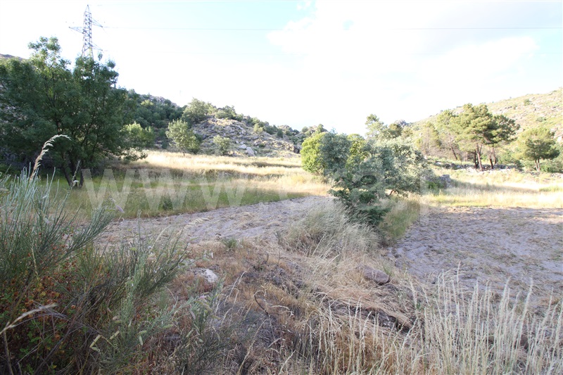 Herdade  Sabugal, Sabugal - 554059 - 6