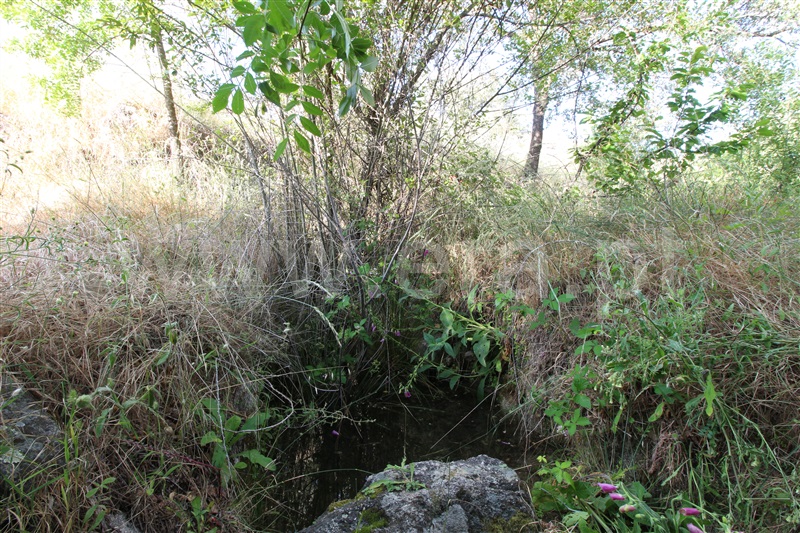 Herdade  Sabugal, Sabugal - 554059 - 11