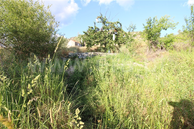 Herdade  Sabugal, Sabugal - 554059 - 14
