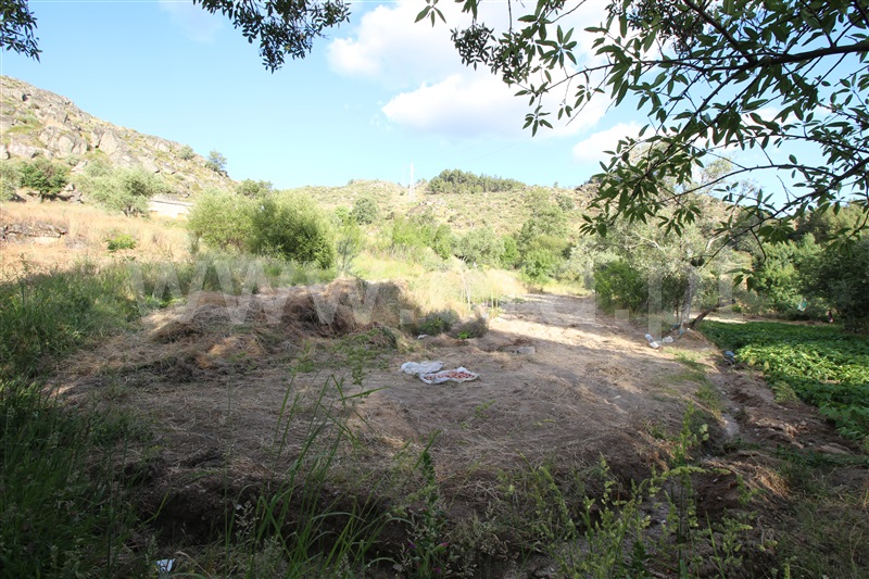 Herdade  Sabugal, Sabugal - 554059 - 15