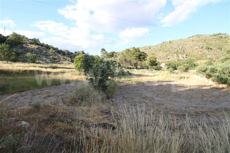 Herdade  Sabugal, Sabugal - 554059 - 18