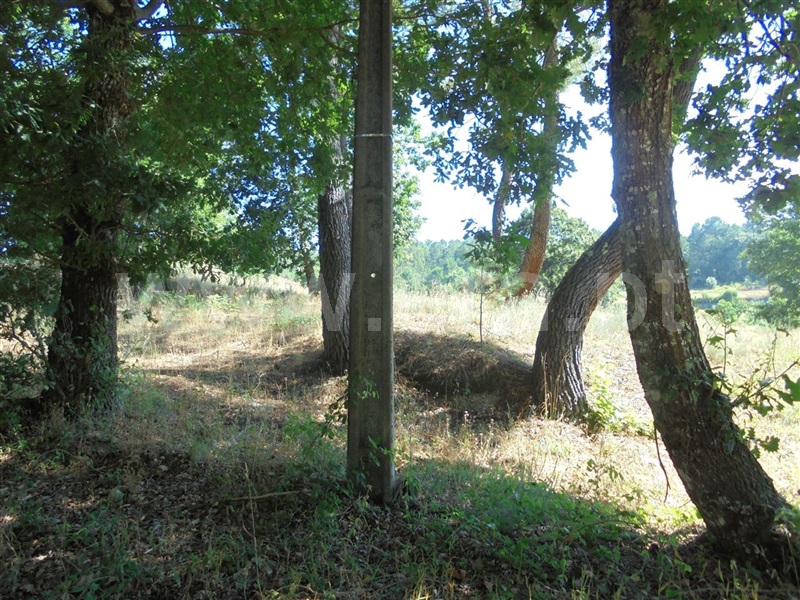 Quintinha  Sátão, Sátão - 934505 - 20