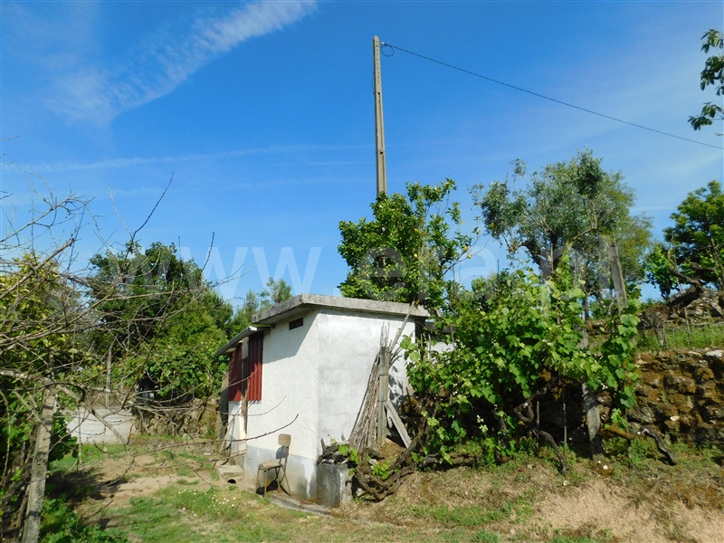 Quintinha  Seia, Paranhos - 1413840 - 6