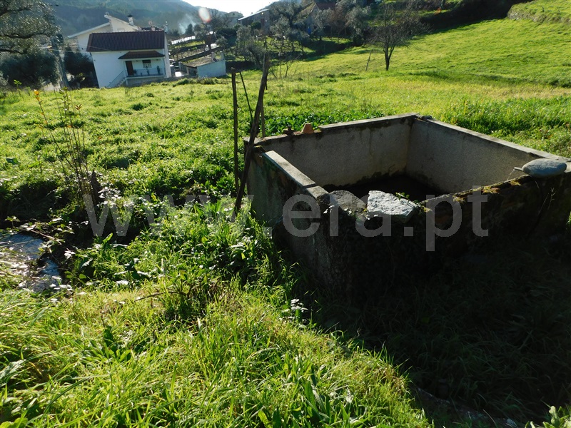 Quintinha  Seia, Sandomil - 1306493 - 13