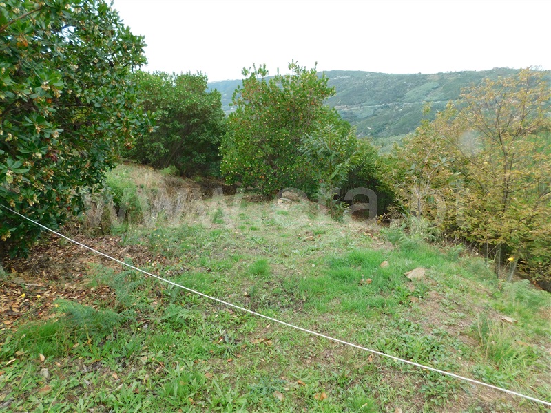 Quintinha  Seia, Sandomil - 1362142 - 5