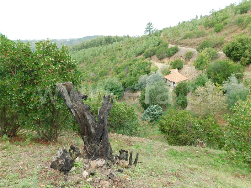 Quintinha  Seia, Sandomil - 1362142 - 7