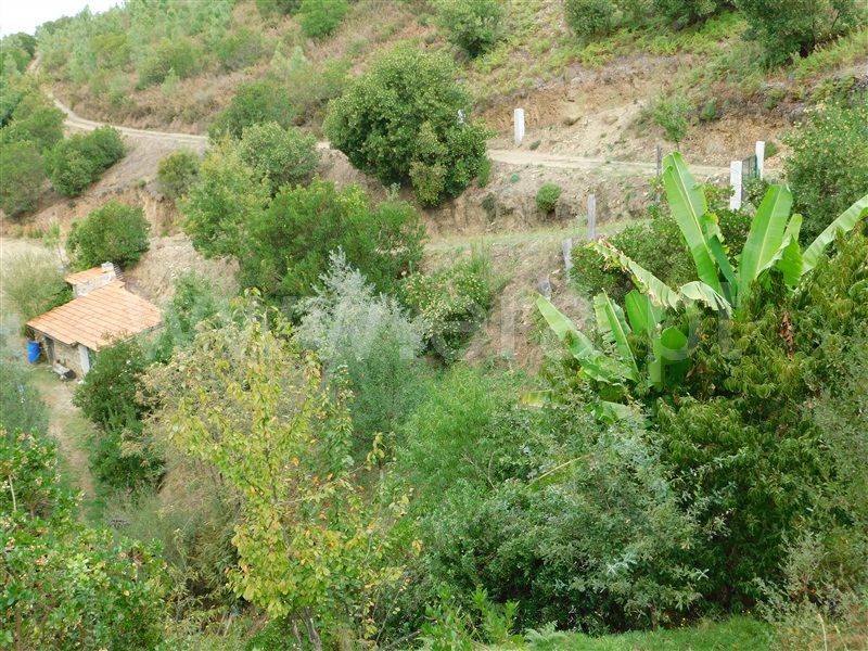 Quintinha / Seia, Sandomil