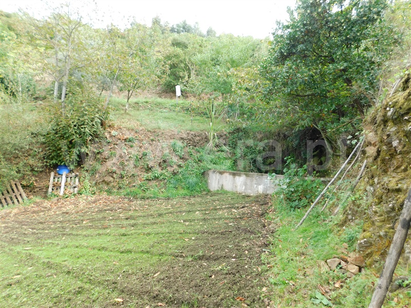 Quintinha  Seia, Sandomil - 1362142 - 18
