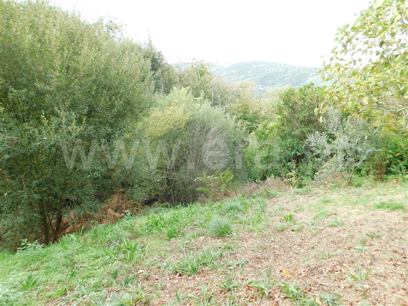 Quintinha  Seia, Sandomil - 1362142 - 20
