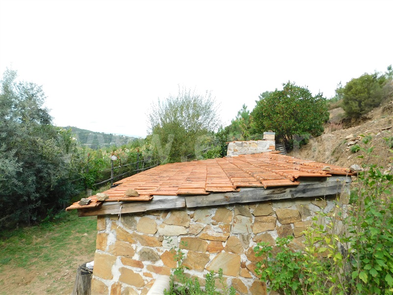 Quintinha  Seia, Sandomil - 1362142 - 22