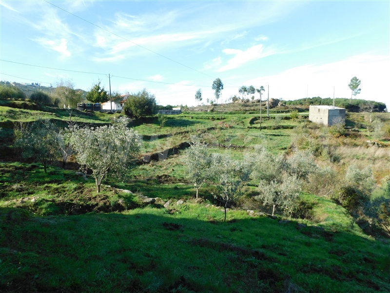 Quintinha  Seia, Santa Marinha e São Martinho - 1440028 - 13