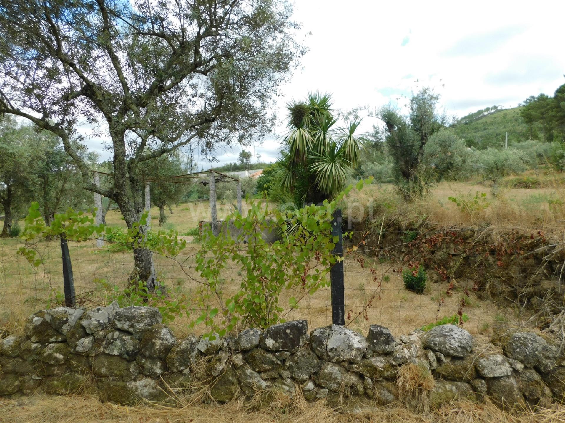 Terreno