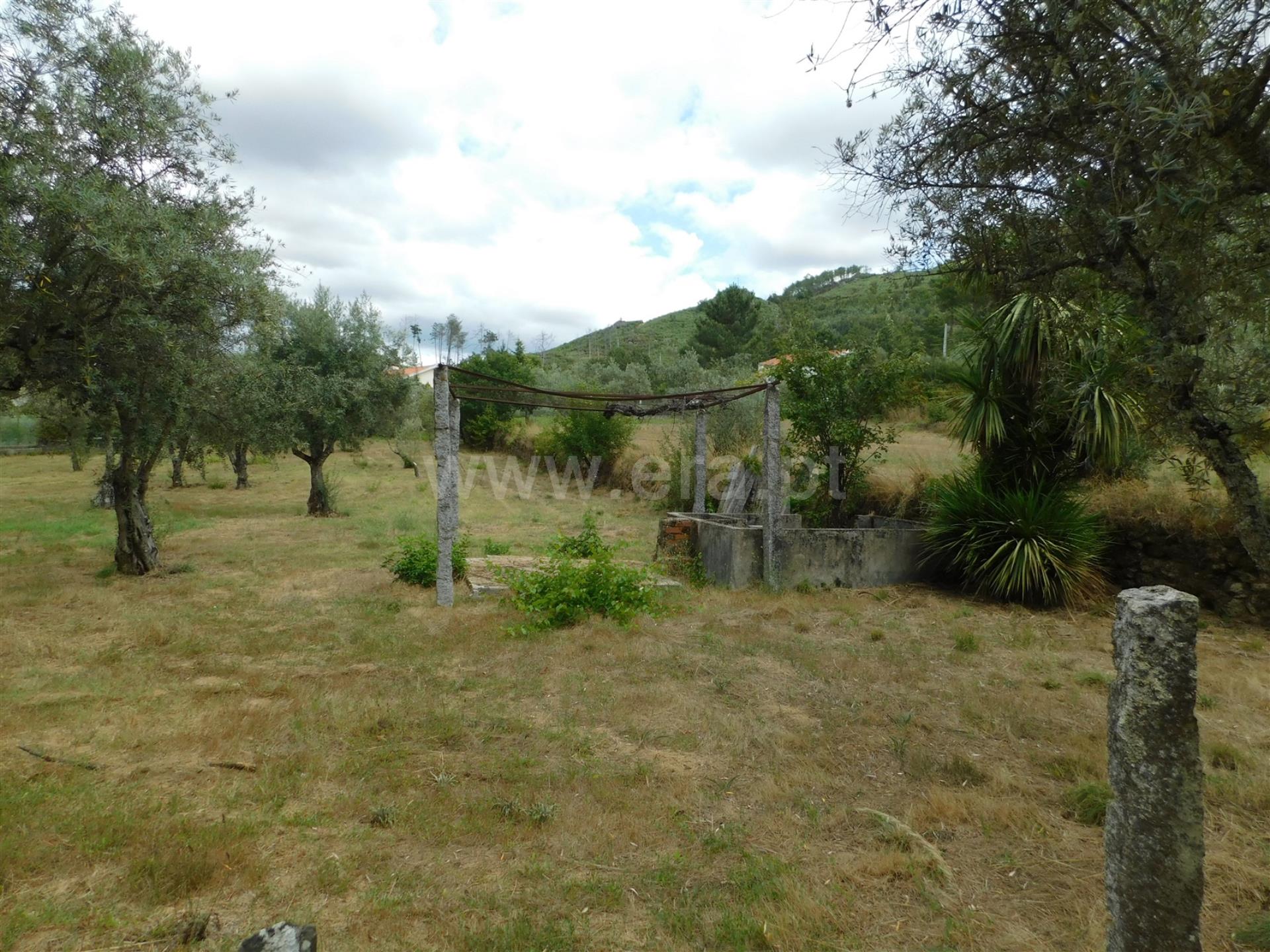 Terreno