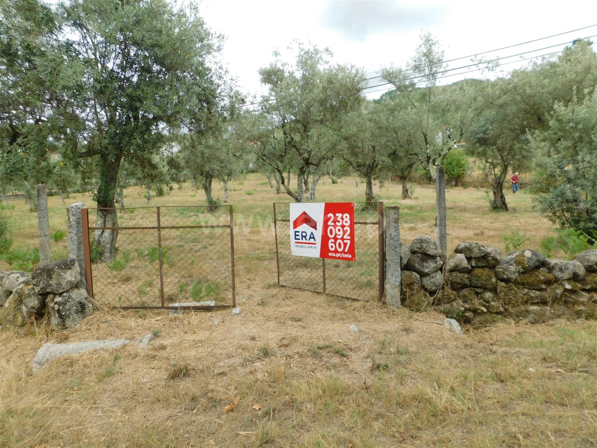 Terreno