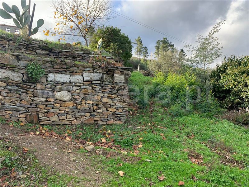 Quintinha  Covilhã, Verdelhos - 1447294 - 7