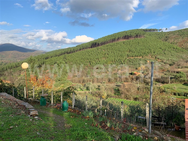 Quintinha  Covilhã, Verdelhos - 1447294 - 10