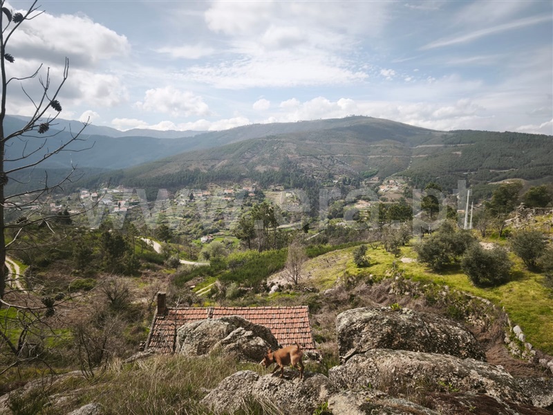 Quintinha T1 / Covilhã, Teixoso e Sarzedo