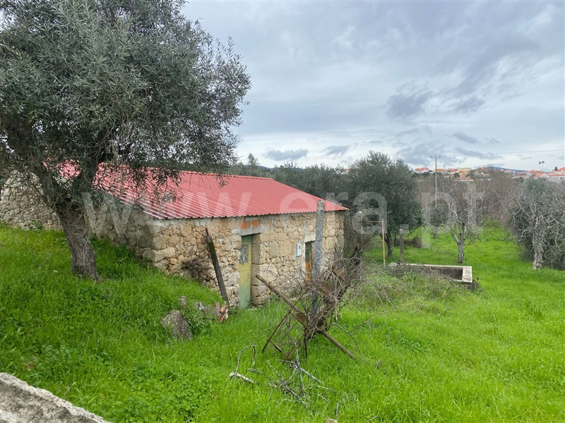 Quintinha T1 / Fundão, Atalaia do Campo