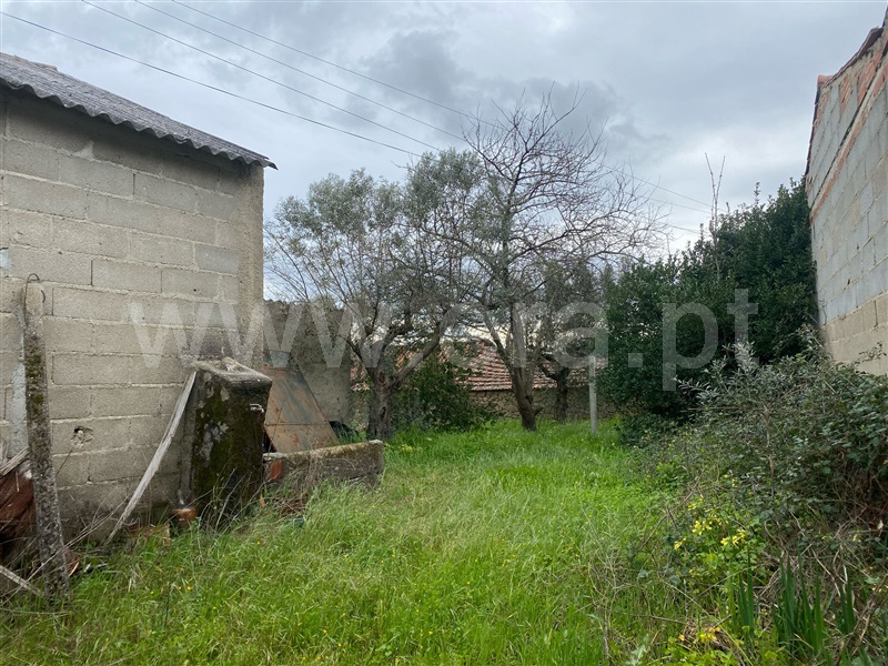 Quintinha  Fundão, Atalaia do Campo - 1471626 - 1