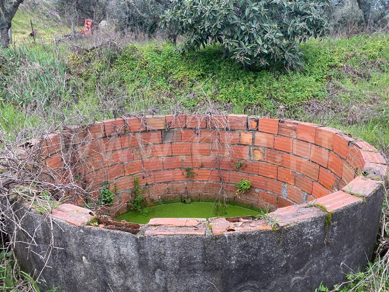 Quintinha  Fundão, Atalaia do Campo - 1471626 - 6