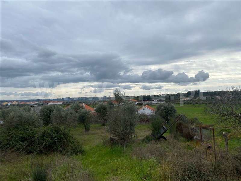 Quintinha  Fundão, Atalaia do Campo - 1471626 - 7
