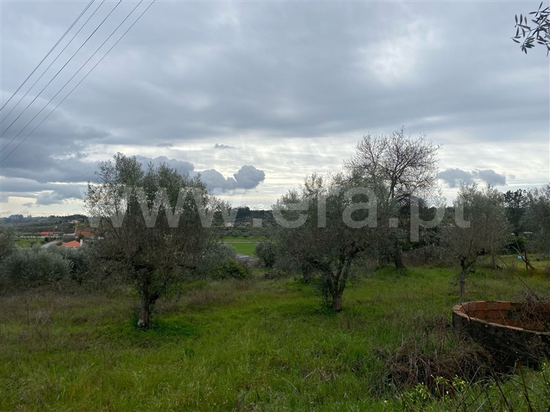 Quintinha  Fundão, Atalaia do Campo - 1471626 - 8