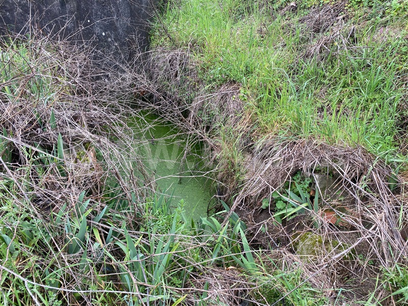 Quintinha  Fundão, Atalaia do Campo - 1471626 - 9