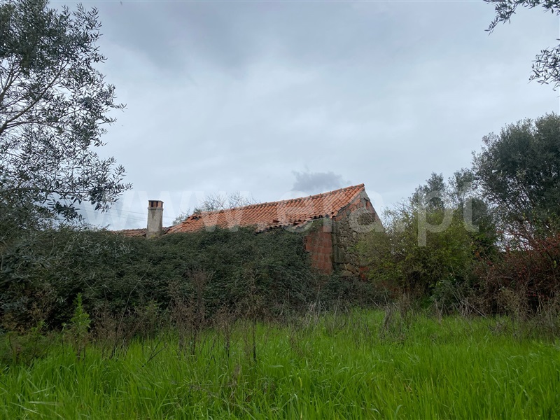 Quintinha  Fundão, Atalaia do Campo - 1471626 - 10