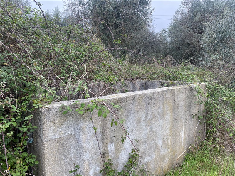 Quintinha  Fundão, Atalaia do Campo - 1471626 - 11