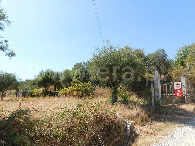 Quintinha  Fundão, Atalaia do Campo - 1471626 - 12