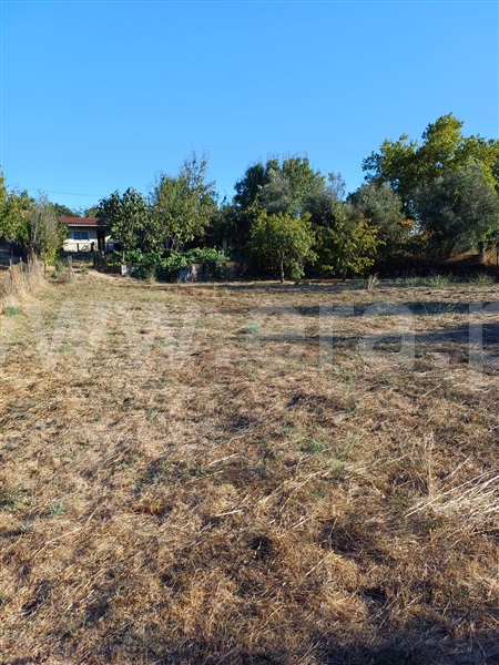 Quintinha T1 Fundão, Pêro Viseu - 1511648 - 1