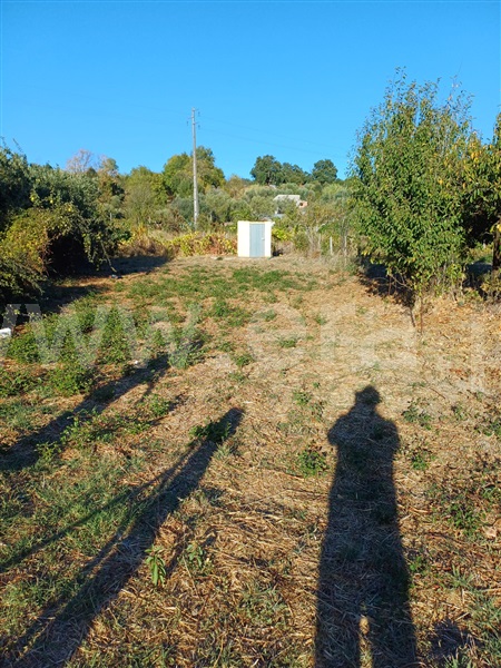 Quintinha T1 Fundão, Pêro Viseu - 1511648 - 2