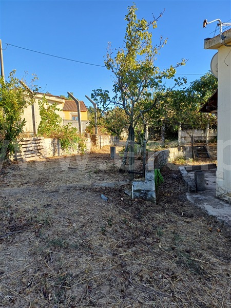 Quintinha T1 Fundão, Pêro Viseu - 1511648 - 4