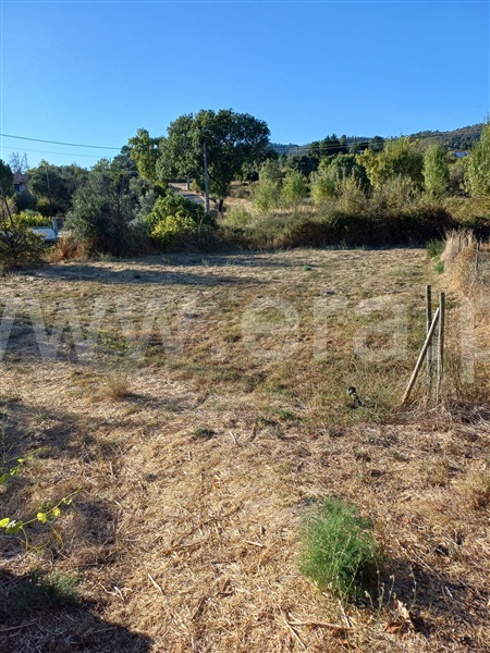 Quintinha T1 Fundão, Pêro Viseu - 1511648 - 5