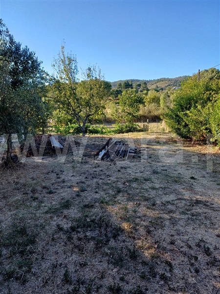 Quintinha T1 Fundão, Pêro Viseu - 1511648 - 6