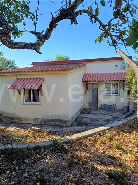 Quintinha T1 Fundão, Pêro Viseu - 1511648 - 11