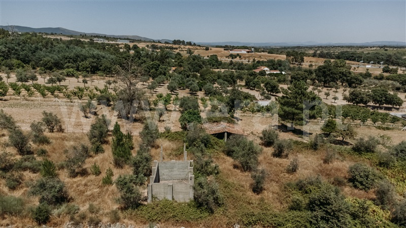 Quintinha T1 / Fundão, Soalheira