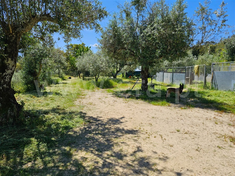 Quintinha T1 / Fundão, Telhado