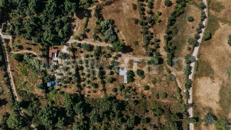 Quintinha T1 / Fundão, Telhado