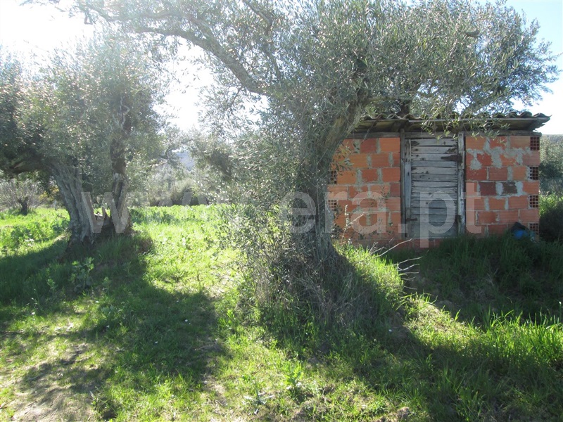 Quintinha  Fundão, Telhado - 1482754 - 3