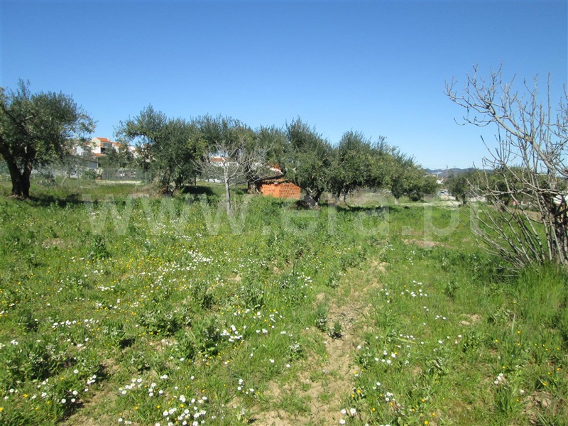 Quintinha  Fundão, Telhado - 1482754 - 5