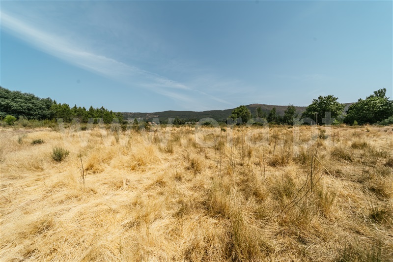 Quintinha T1 Fundão, Vale Prazeres - 1472503 - 19