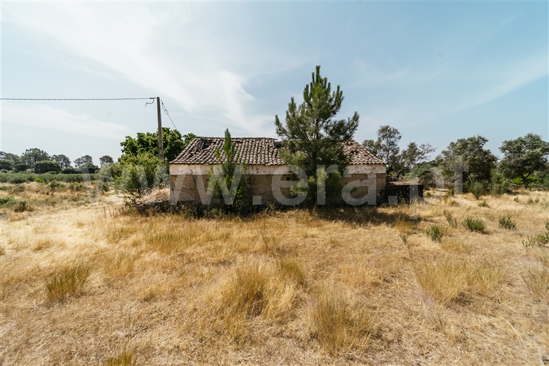 Quintinha T1 Fundão, Vale Prazeres - 1472503 - 21