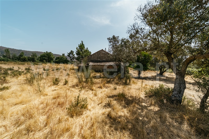 Quintinha T1 Fundão, Vale Prazeres - 1472503 - 24