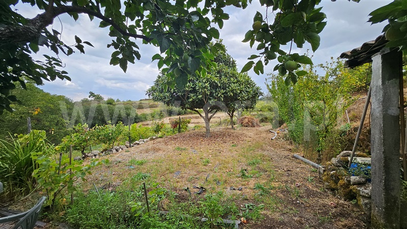Quintinha  Gouveia, São Paio - 1433236 - 9