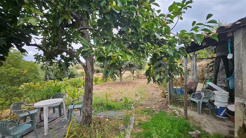 Quintinha  Gouveia, São Paio - 1433236 - 10
